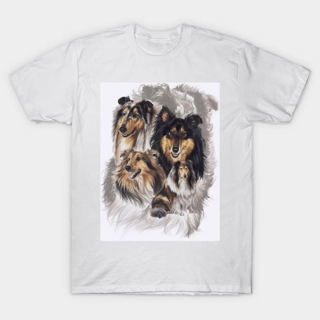 Collie Medley T-Shirt by BarbBarcikKeith